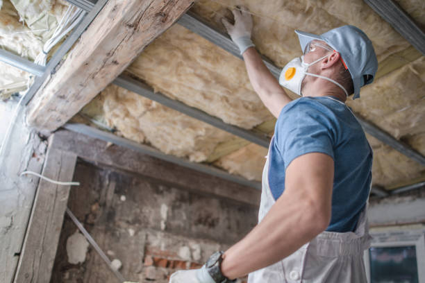 Best Insulation Contractors for Homes  in Packanack Lake, NJ